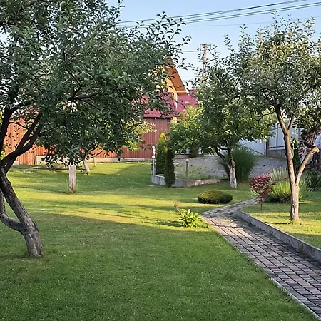 в горах у антоніни